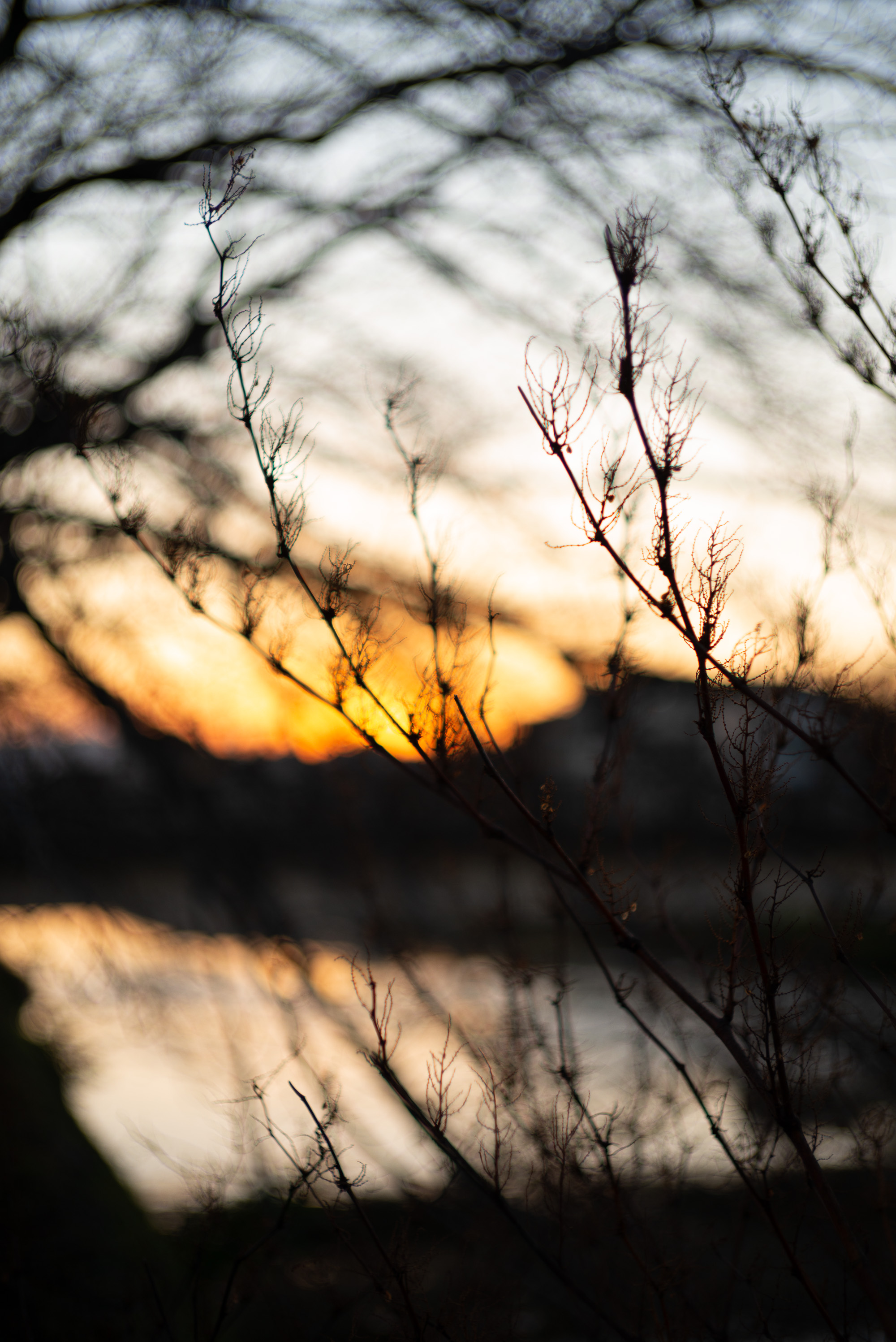 とある夕暮れの情景