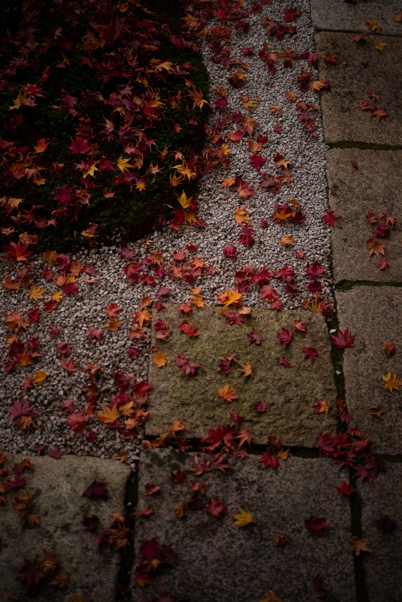 晩秋を感じさせる黄梅院のもみじ