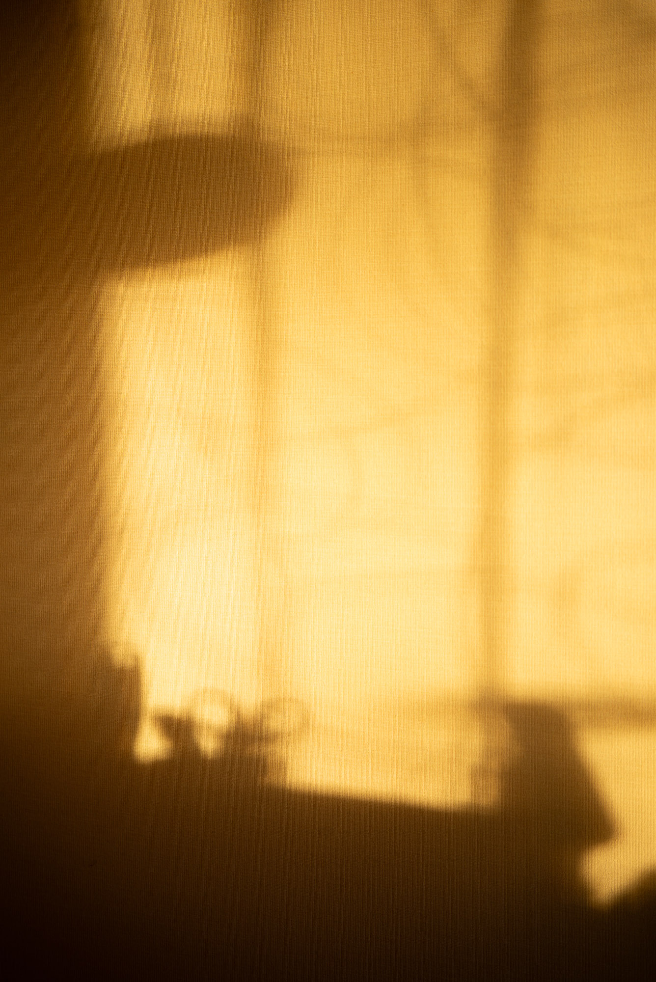 夕暮れの部屋で