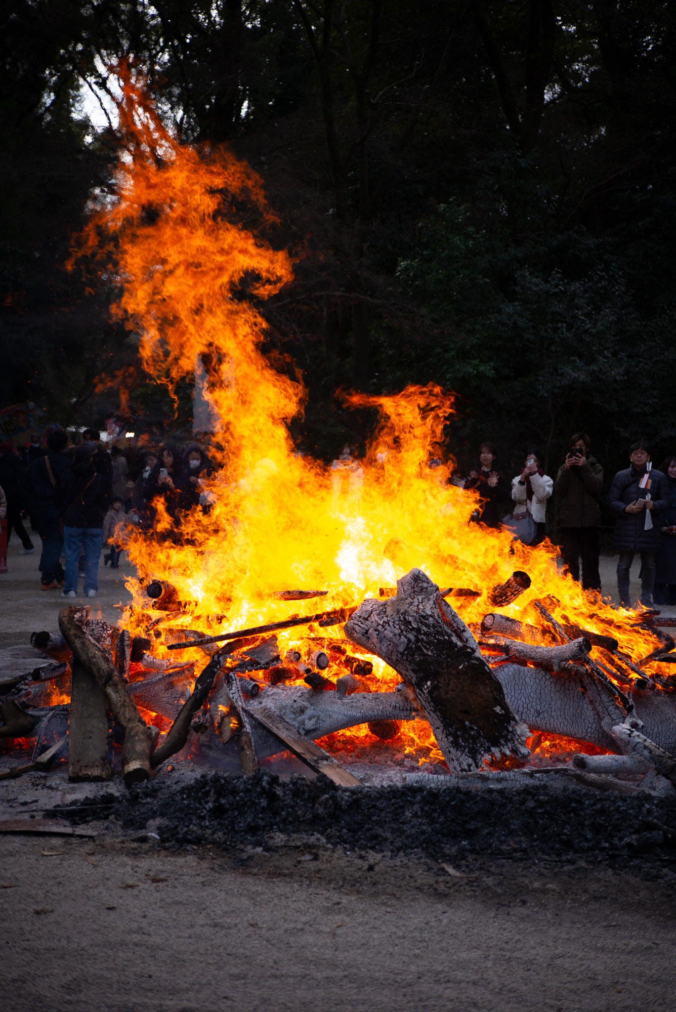 下鴨神社の焚き火