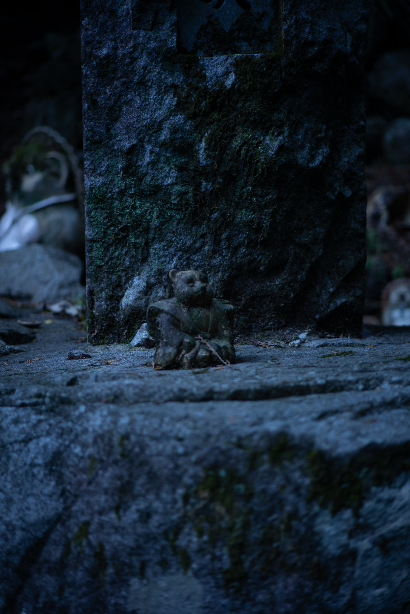 たぬきいっぱい 狸山不動院