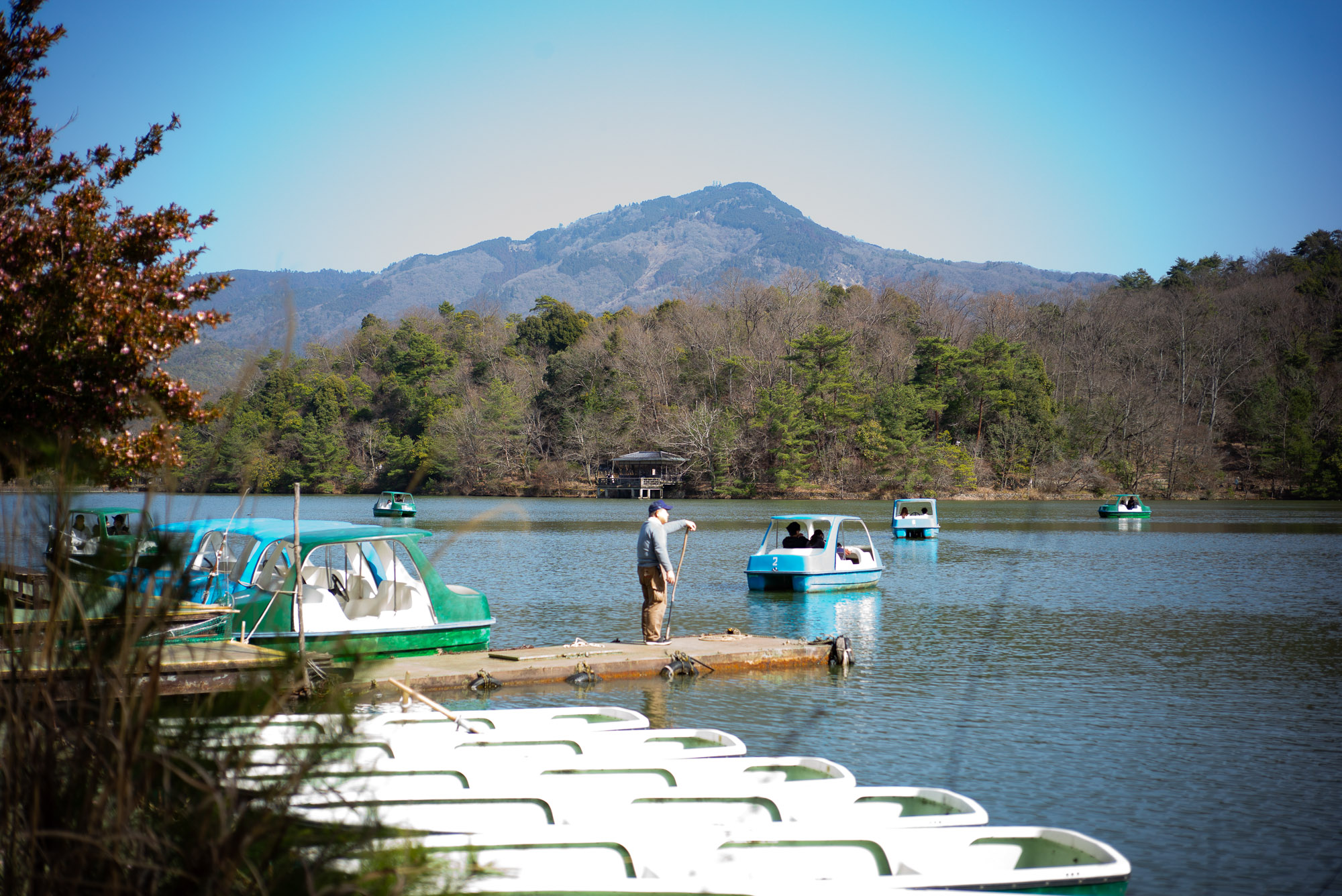 ベランダでお日様を浴びるぽんちょ