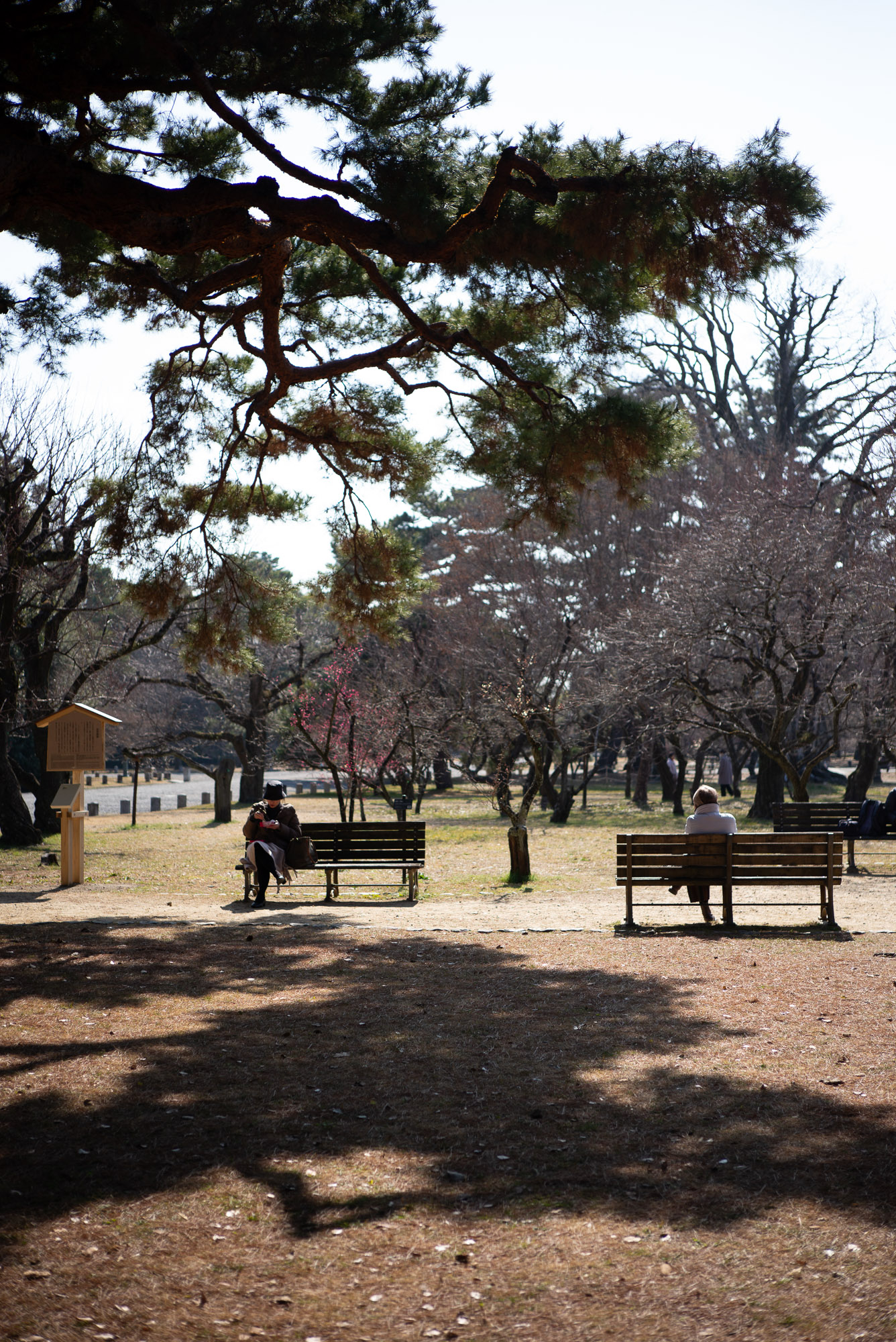 立春の日の京都御所