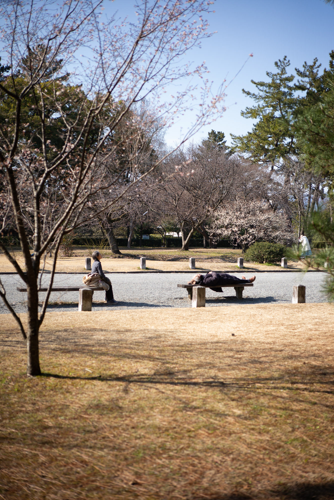 ベランダでお日様を浴びるぽんちょ