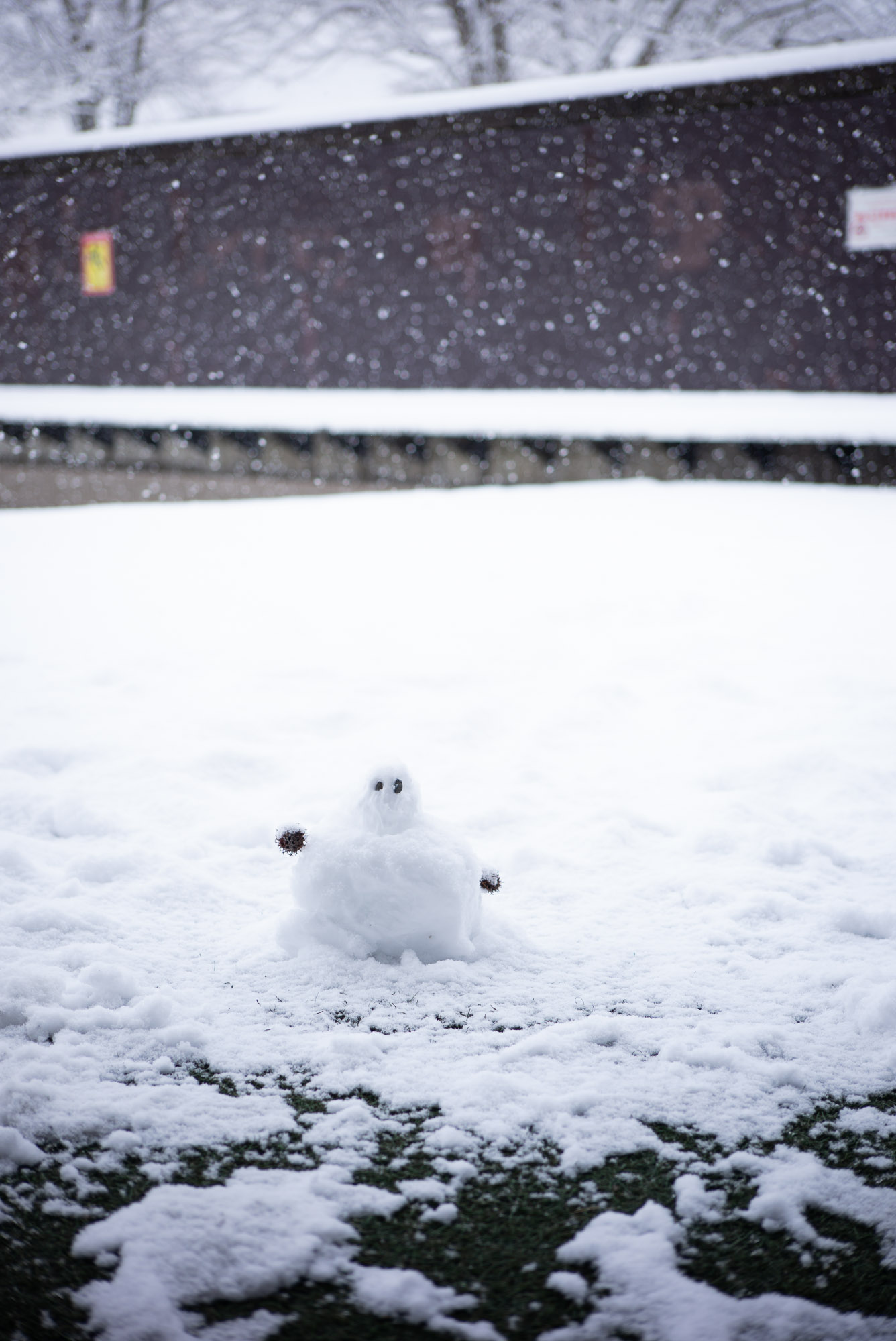 大雪で白い世界の子どもの楽園