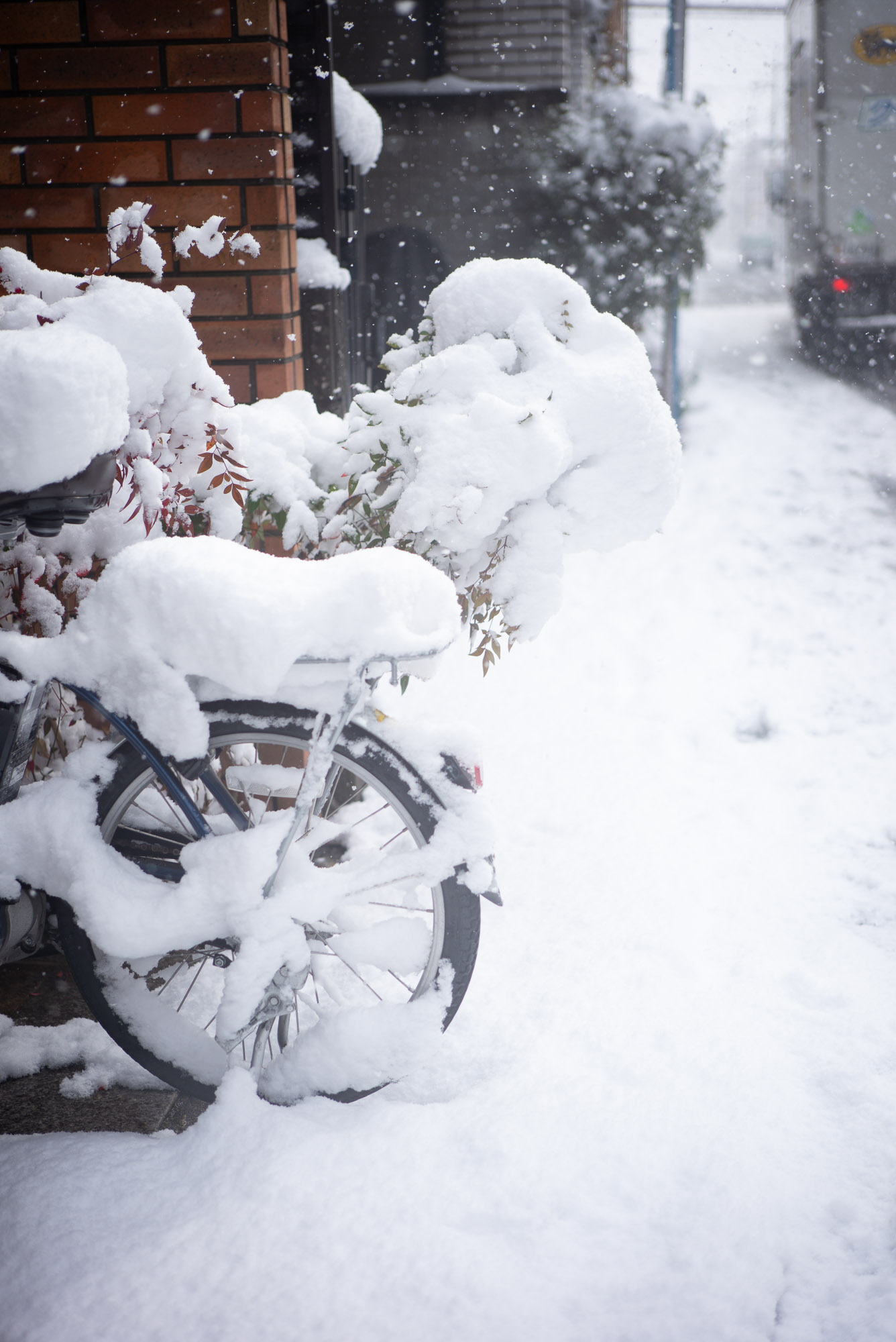 京都 大雪の日に