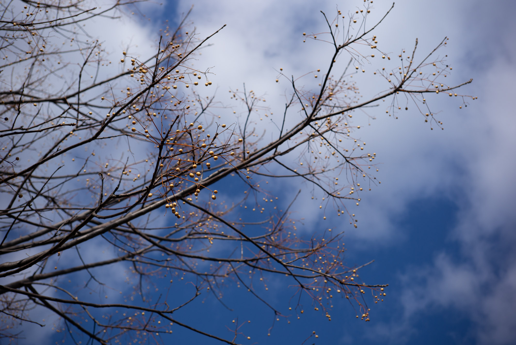 ベランダでお日様を浴びるぽんちょ
