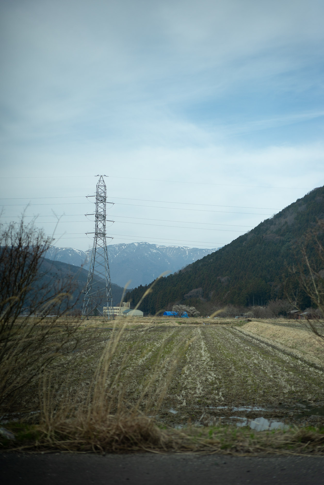 道中の景色