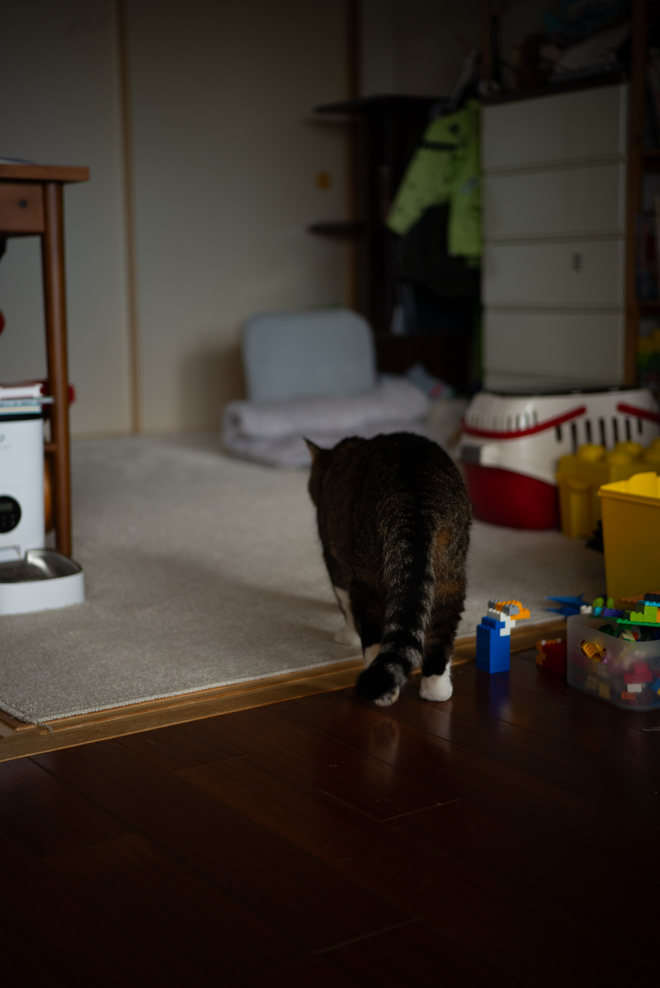 ペロリとするぽんちょ