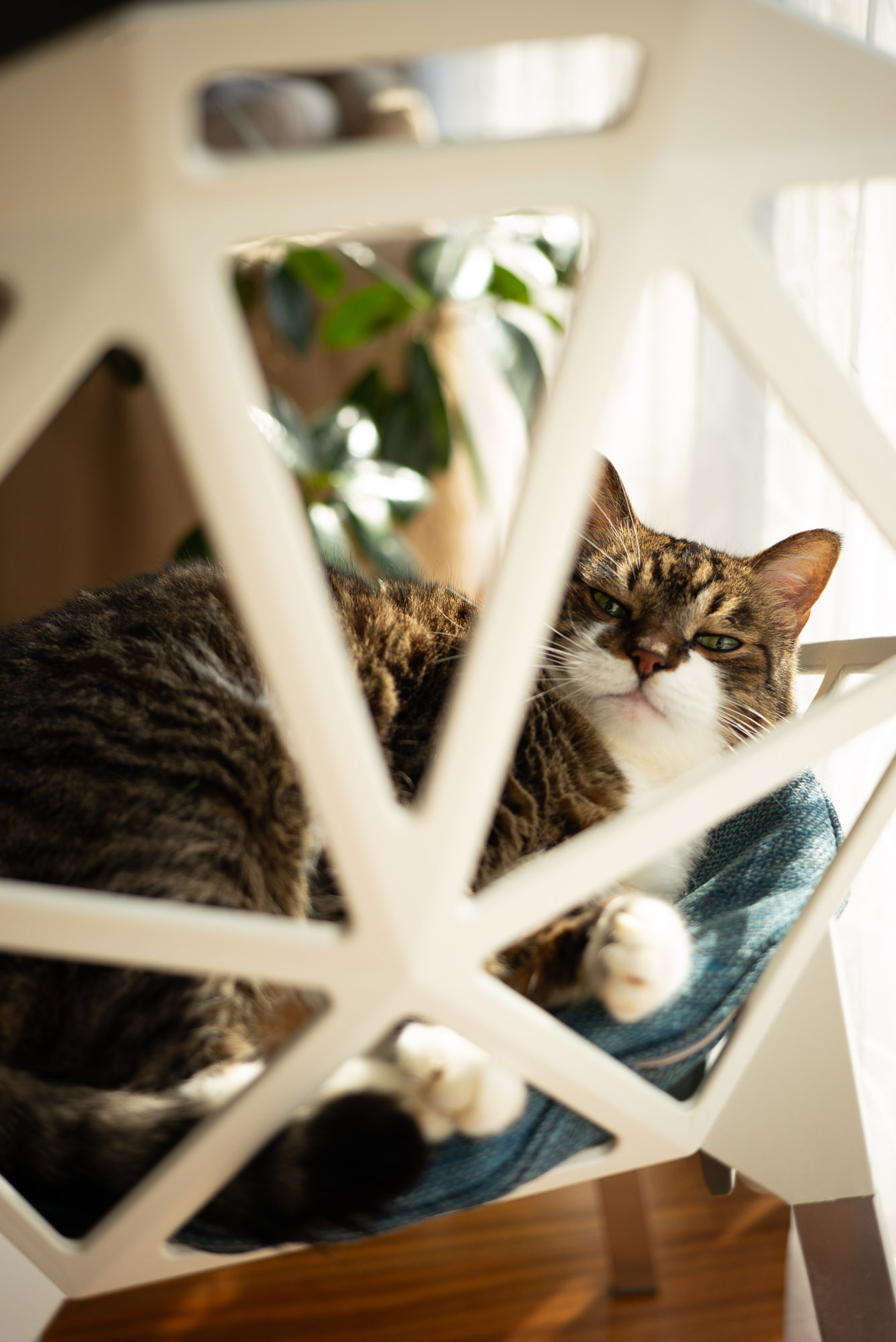 夕暮れの部屋で