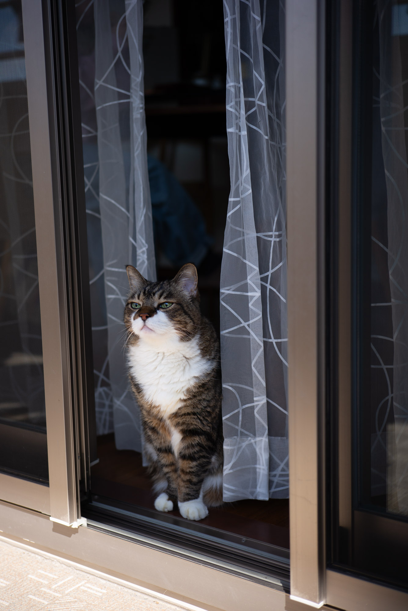 春の気配を感じるぽんちょ